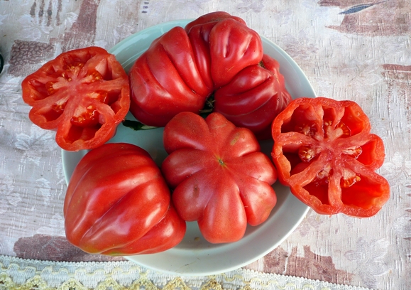 Tomate Tlacolula de Matamoros sur une assiette