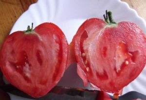 Charakteristika a opis odrôd paradajky Milujúce srdce a srdce z červeného oleja, ich produktivita
