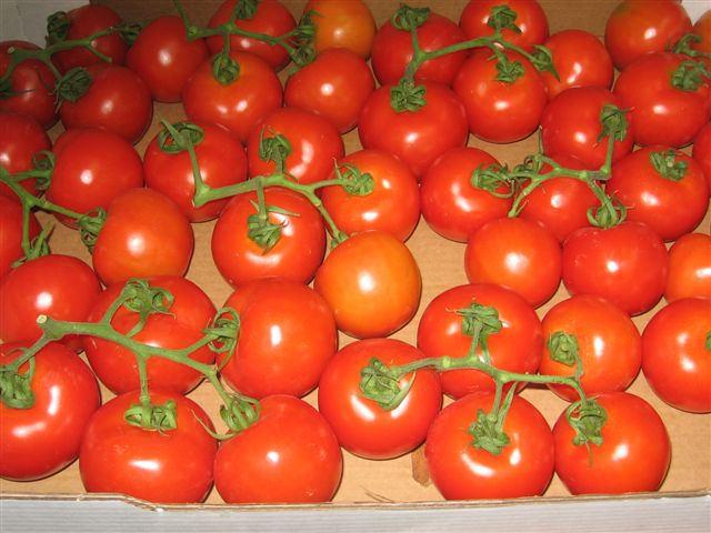 Saulėtekio pomidorai dėžutėje