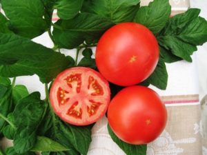 Charakteristiky a opis odrody rajčiaka Tolstoy, jeho úrody a pestovania