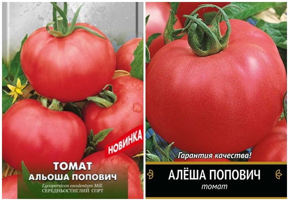 pomidorų sėklos alesha popovich