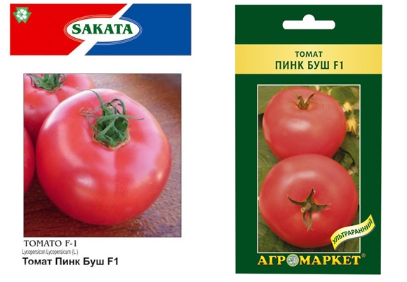 paradajkové semienka ružovej kríky f1