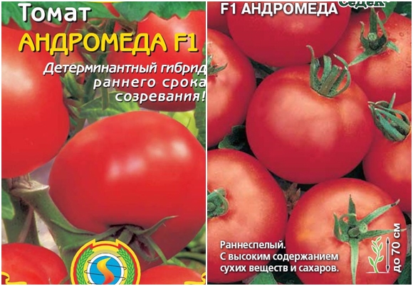 σπόροι ντομάτας ανδρομέδας