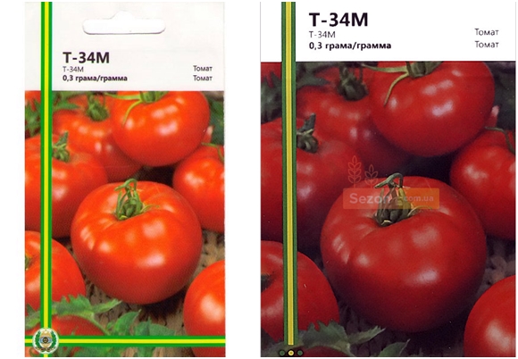 σπόροι ντομάτας t 34