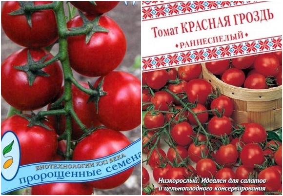 tomatfrø rød bunke