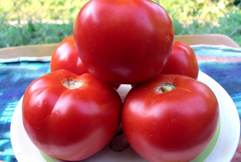 aparición de tomate rojo guardia