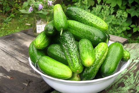 komkommers in een kom