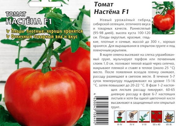 pomidorų sėklos