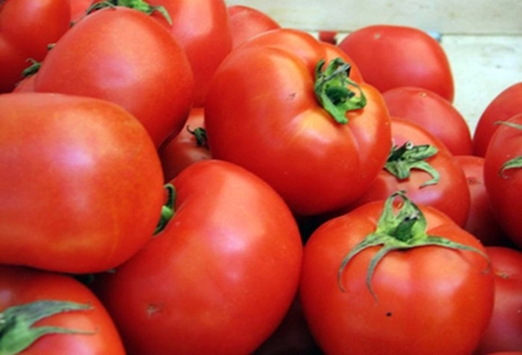 aspect de tomate de familie