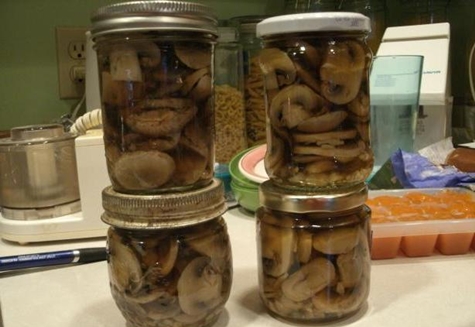 piepende champignons in potten
