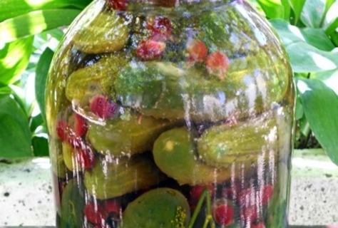 Pepinos encurtidos con albahaca en un frasco