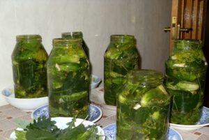 Recepten voor augurken komkommers met eikenbladeren voor de winter in potten