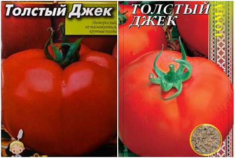 paradajkové semená Fat Jack