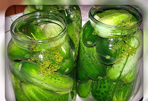 marinuoti agurkai stiklainiuose