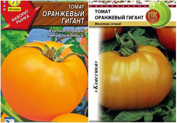 paradajkové semená obrie oranžové