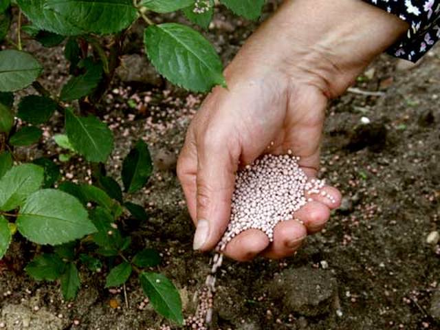 fertilizzazione del suolo