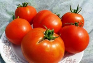 Χαρακτηριστικά και περιγραφή της ποικιλίας ντομάτας του Λαμπραντόρ, της απόδοσής της
