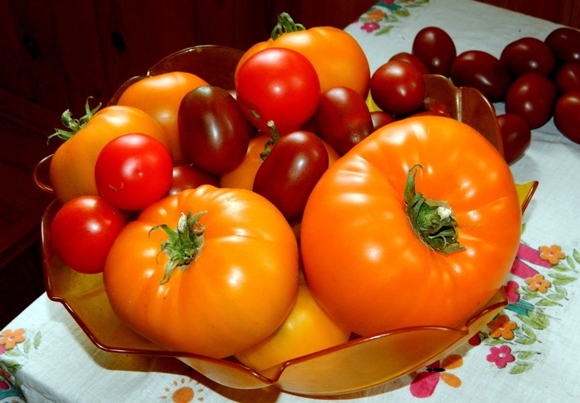 Tomaten-Riesenorange
