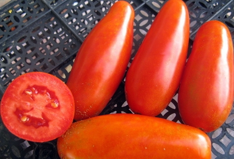 Tomatenmamin Sibiryak auf dem Tisch