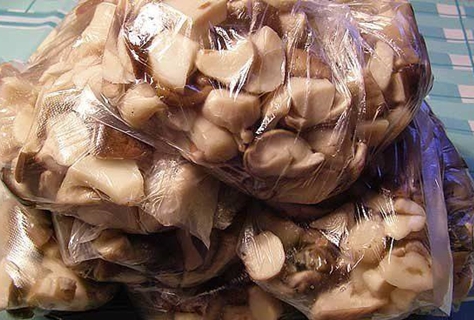 gljive kamenica u vrećici za zamrzavanje
