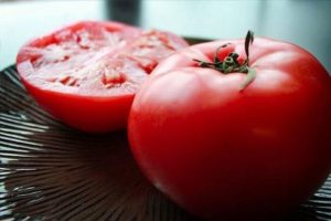 Características y descripción de la variedad de tomate Katya, su rendimiento.
