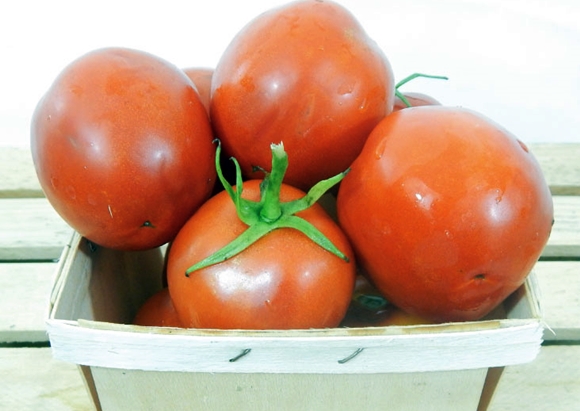 paradajka z bankomatu v koši