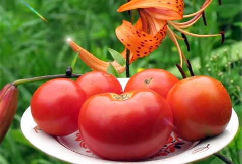 Sibiryachok Tomate auf einem Teller