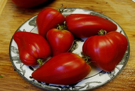 tomaten op een bord
