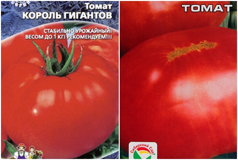tomātu sēklas Milžu karalis