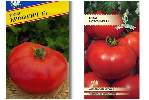 rajčatová semínka Erofeich F1