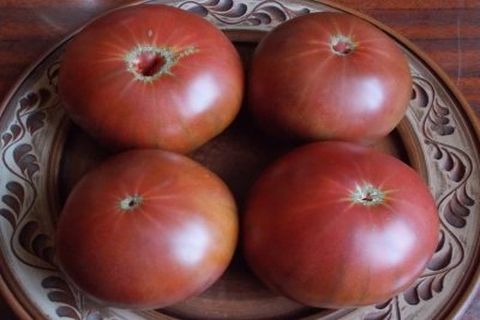 mustia tomaatteja