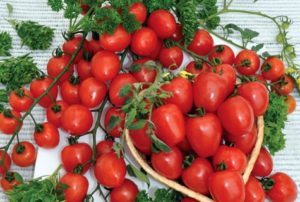 Braškinių pomidorų veislės savybės ir apibūdinimas, derlius