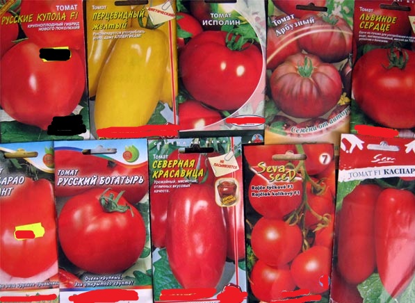 pomidorų veislės