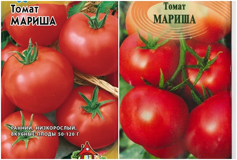 paradajkové semienka marisha