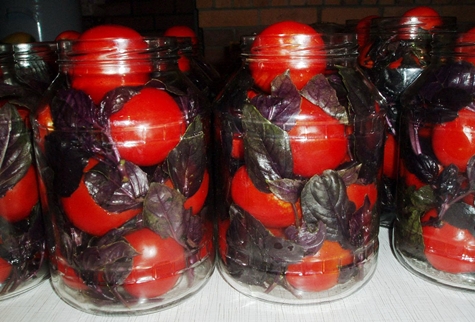 rajčata s bazalkou ve sklenici