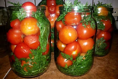 tomater med morot toppar på bordet