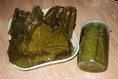 leaves for dolma