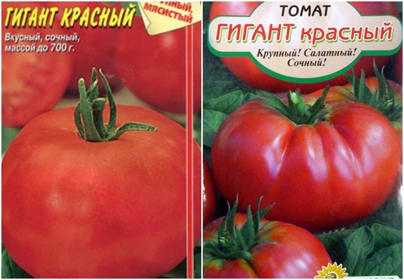 σπόροι ντομάτας γίγαντας κόκκινο
