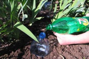 Zavlažovanie do uhoriek pre uhorky z plastových fliaš