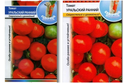 skoré semená paradajok Ural