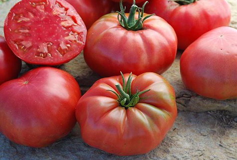 tomaat op tafel