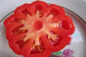 Egenskaper och beskrivning av tomatsorten Svampkorg, dess utbyte