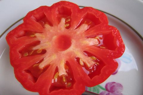 tomat svamp korg