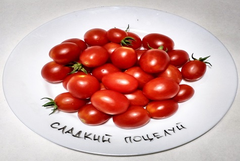 tomater i en tallrik