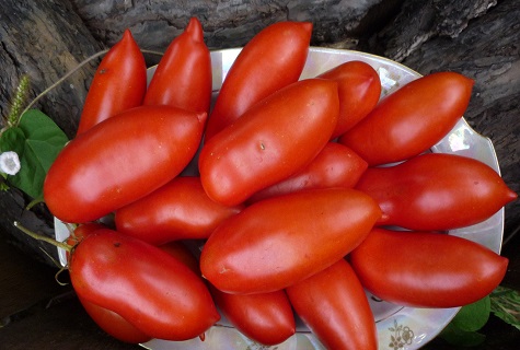 tomater i en skål