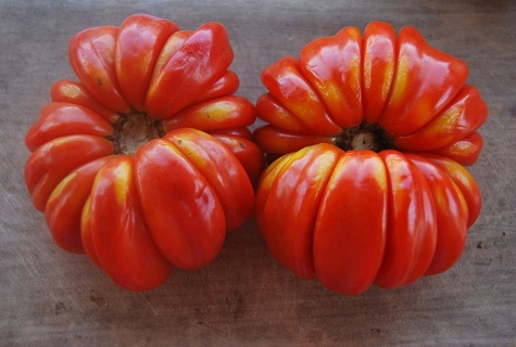 tomat rom