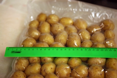 bevroren aardappelen in een zak