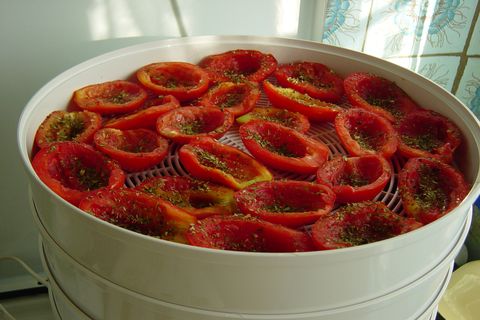 Recept för att laga soltorkade tomater för vintern i en grönsattork