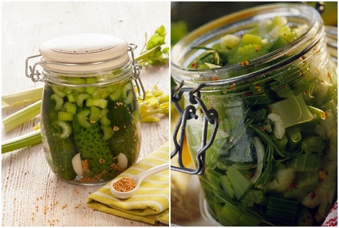 ingelegde komkommers met selderij in potten