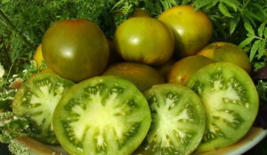 Egenskaper och beskrivning av tomatsorten Smaragd äpple, dess utbyte